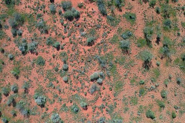 Leinwandbilder Khaki Outback Australia aerial drone wide shot over the picturesque wild rural dry red center desert landscape of Western Australia  © immimagery