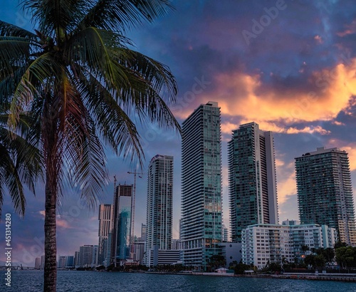 city skyline at sunset miami florida usa buildings skyscrapers sky clouds palms travel   © Alberto GV PHOTOGRAP