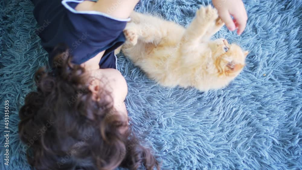Cute baby girl playing with adorable ginger cat in living room. Little child girl kid enjoy and having fun indoor lifestyle with kitten pets at home. Pet and owner friendship and relationship concept Cute baby girl playing with adorable ginger cat in living room. Little child girl kid enjoy and having fun indoor lifestyle with kitten pets at home. Pet and owner friendship and relationship concept