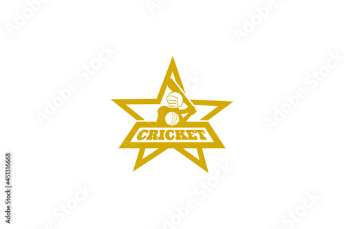 Vector logo element for cricket sports team with star frame