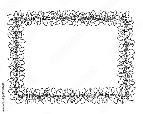 Frame is made from the leaves liana contour