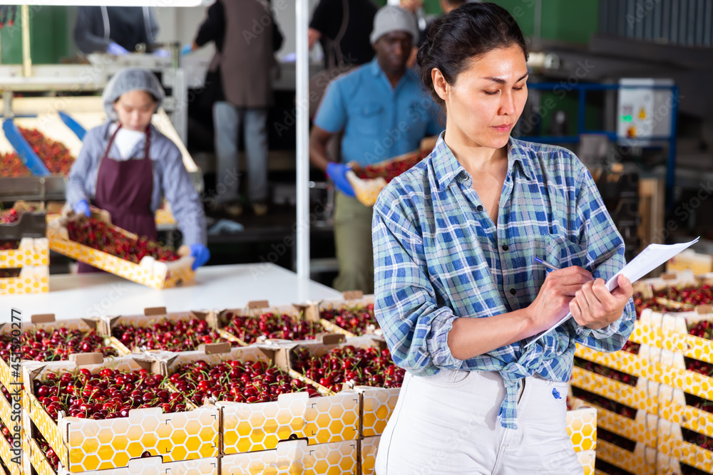 Woman controlling process of sorting of fresh ripe cherry on producing grading line