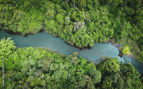 Aerial view river forest nature woodland area green tree, Top view river lagoon pond with blue water from above, Bird eye view green forest beautiful fresh environment landscape jungles lake