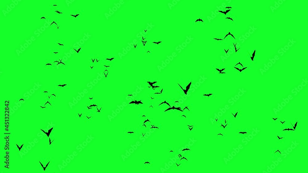 swarm animation or large batch of green screen bats, video overlay swarm animation or large batch of green screen bats, video overlay