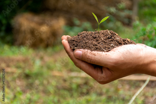Man hand holding abundance soil with young plant on blurred nature background.