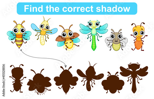 Find correct shadow. Kids educational game. Set of Insects to find the correct shadow. Simple gaming level for preschool kids