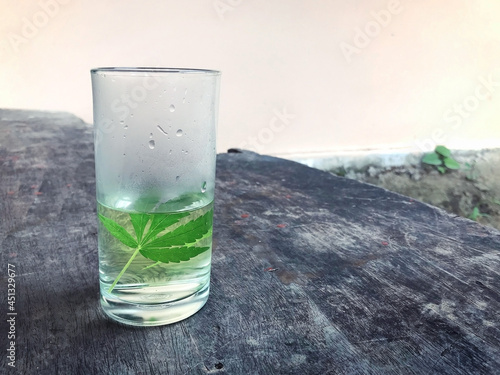 A glass of tea made from cannabis leaves on wooden floor