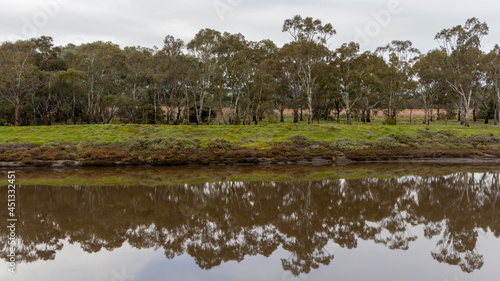 Tree reflections on the onkaparinga river in the national park in seaford south australia on july 23rd 2021