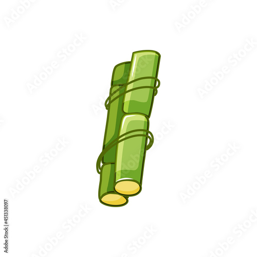 Fresh raw green sugar cane on a white isolated background. An ingredient of Jamaican rum. Vector illustration of a cartoon