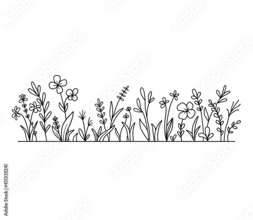 Vector wild herbs and flowers silhouette background. Field with grass and wildflowers isolated on white. photo