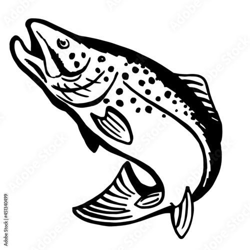 Trout salmon jumping vector isolated