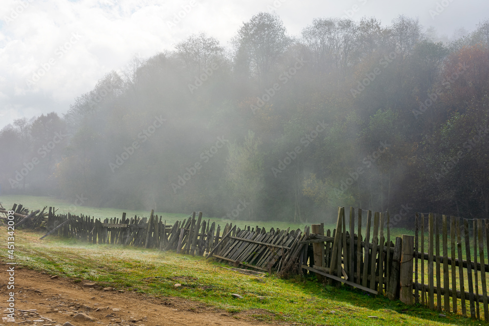 wooden fence on the field. rural landscape on a foggy morning in autumn. misty weather with overcast sky. trees in colorful foliage. wooden fence on the field. rural landscape on a foggy morning in autumn. misty weather with overcast sky. trees in colorful foliage.
