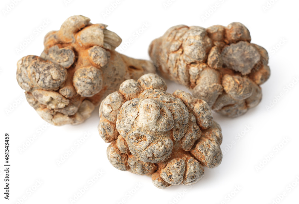 Dried notoginseng roots isolated on white background