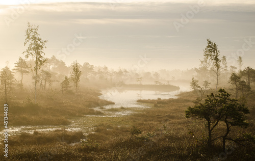 Sunrise in the Kemeri bog in autumn morning. Foggy swamp. Kemeri, Latvia. 