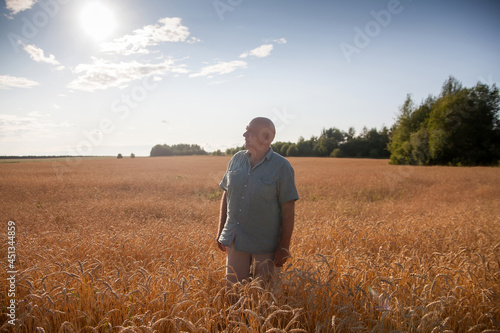 Elderly man farmer in   golden field of wheat. © DariaTrofimova