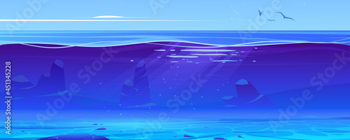Ocean or sea underwater background cross section