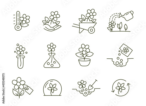 Growing flowers. Icon set. Agriculture and gardener. Biotechnology floret plants. Vector contour line. Open paths. Editable stroke.