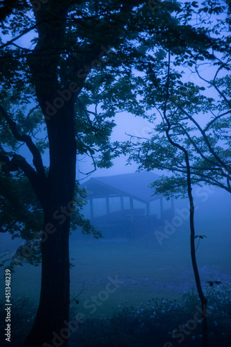 早朝の霧が出ているキャンプ場