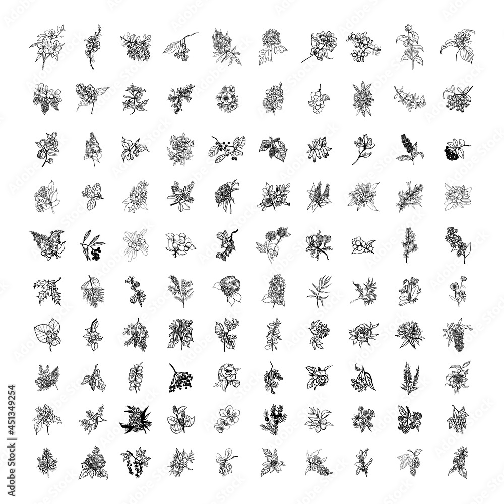 Fototapeta premium Collection of monochrome illustrations of shrubs in sketch style. Hand drawings in art ink style. Black and white graphics.
