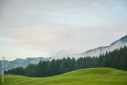 Canvas Print idyllic green mountain landscape with dark green conifers and a cloudy sky