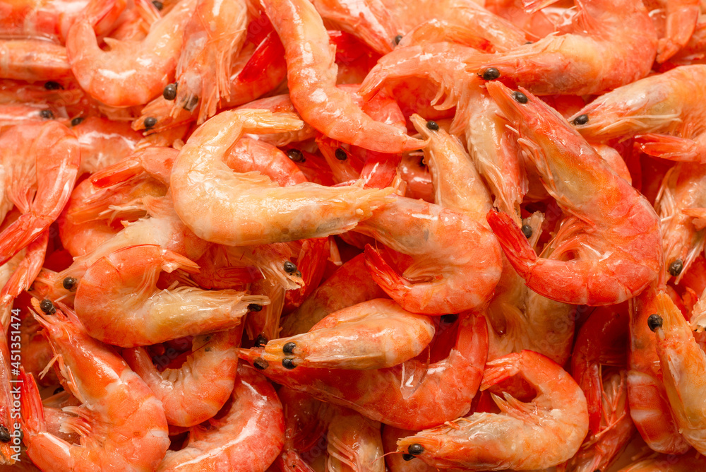 Shrimps background texture. A lot of shrimps. Cooked shrimps. Shrimps background texture. A lot of shrimps. Cooked shrimps.