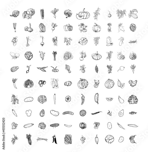 Collection of monochrome illustrations with vegetables in sketch style. Hand drawings in art ink style. Black and white graphics.