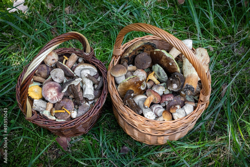 Pair wicker baskets with edible mushrooms