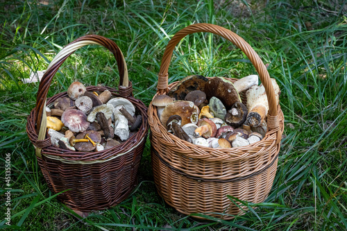 Pair wicker baskets with edible mushrooms