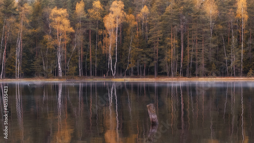 Landscape and background of the autumn forest near the lake.