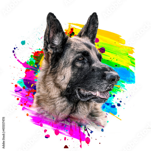 german shepherd dog