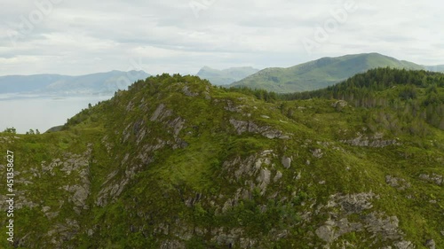 Bird's Eye View Of The Lush Green Woods At The Top Of The Moss-Covered Mountain At Maaloy, Norway. ascending drone shot photo