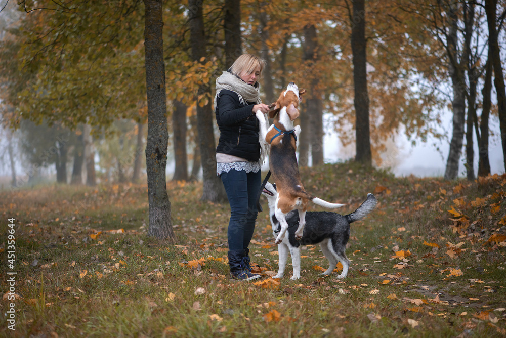 Young woman pet owner with two dogs playing in autumn leaves