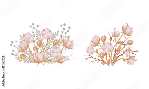 Cotton plant branches set. Bouquet of ripe cotton flowers vector illustration