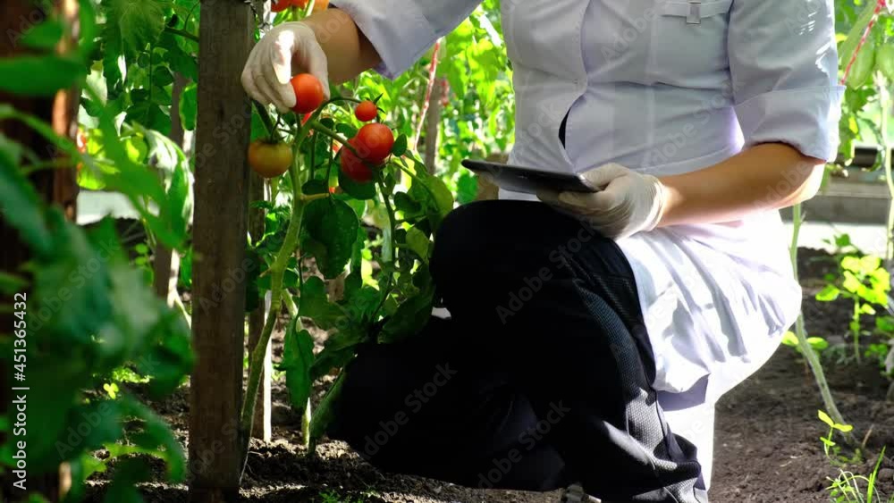 laboratory assistant, works in a greenhouse. collects crop data, uses a tablet.