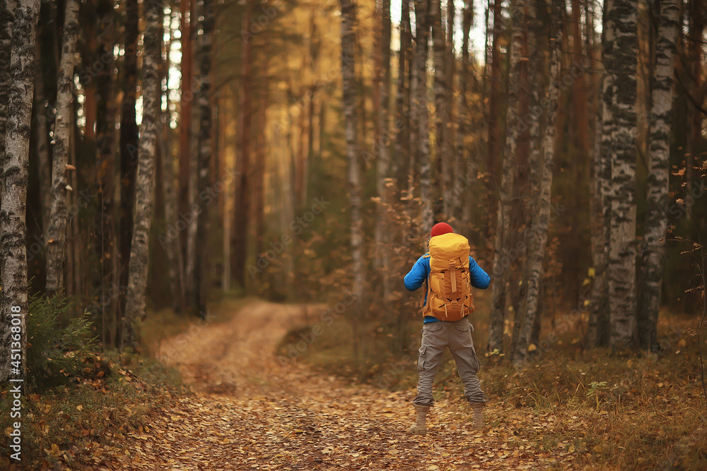 Fototapeta premium man with backpack a view from the back, hiking in the forest, autumn landscape, the back of tourist with a backpack