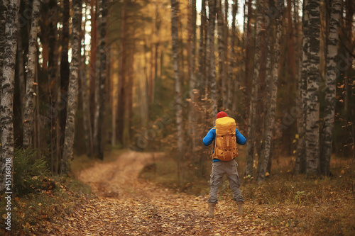 man with backpack a view from the back, hiking in the forest, autumn landscape, the back of tourist with a backpack