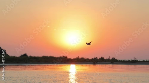 Pelican flies at sunrise. Silhouette of a pelican flying in slow motion against the backdrop of sunrise over the sea.