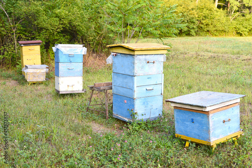 Several bee hives in an apiary in the village