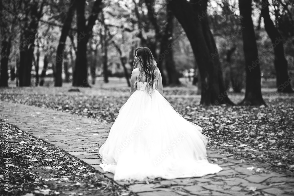 Beautiful bride posing in wedding dress outdoors Beautiful bride posing in wedding dress outdoors
