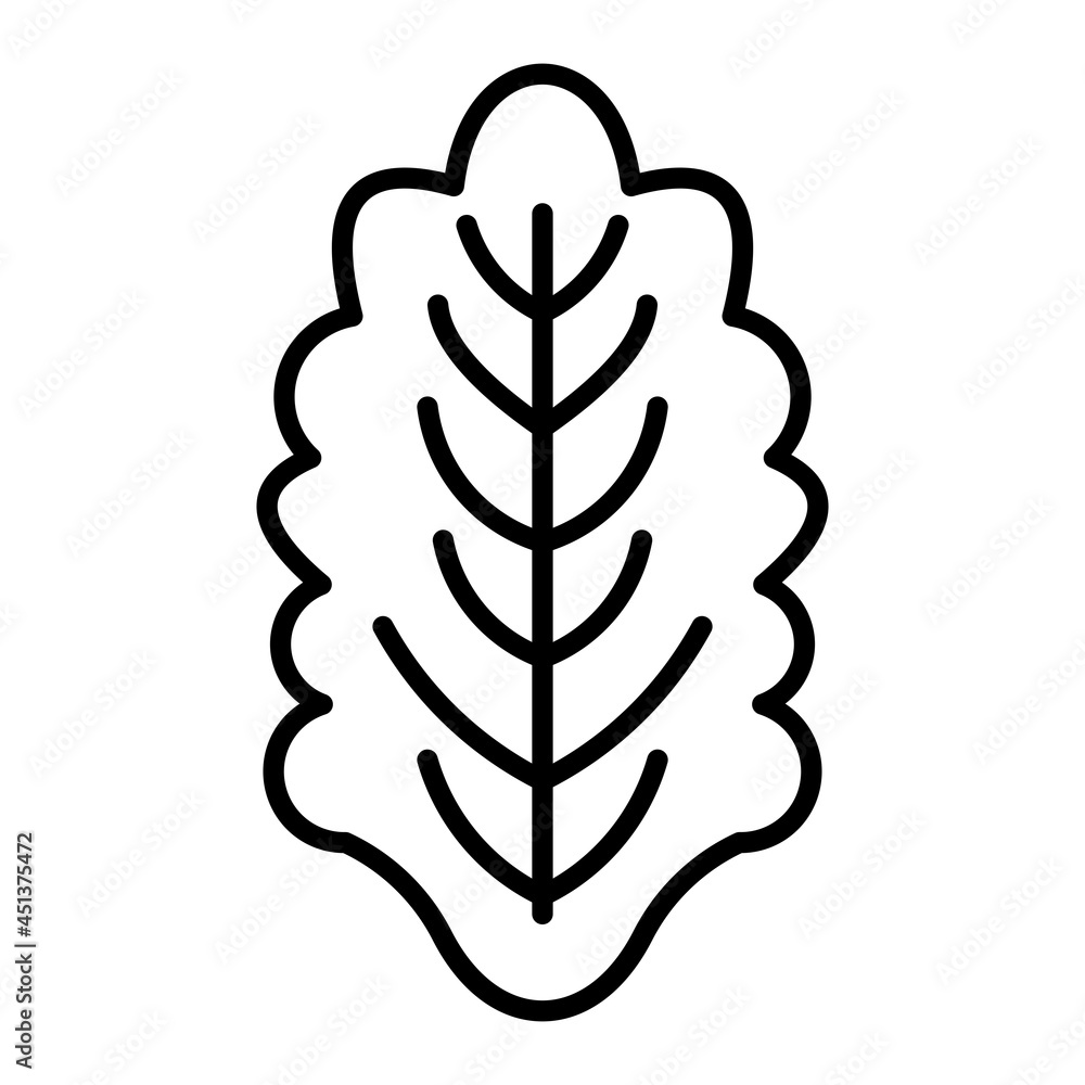 Lettuce Vector Outline Icon Isolated On White Background Lettuce Vector Outline Icon Isolated On White Background