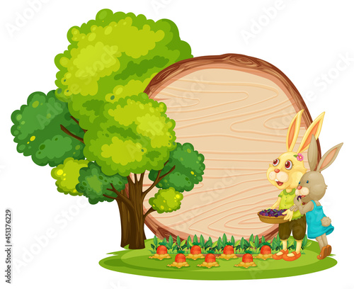 Empty wooden board in the garden with two rabbits isolated on white background