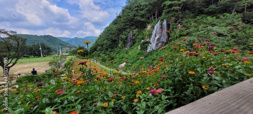 spring in the mountains