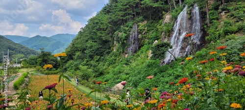 spring in the mountains