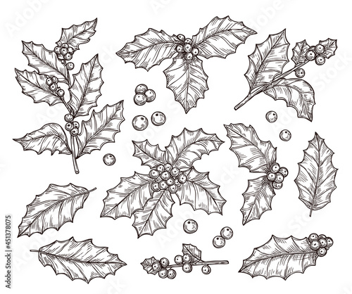Christmas holly. Sketch vector set. Decorations for greeting cards and invitations.
