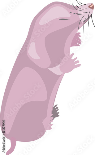 Newborn pink cartoon mole isolated on white background