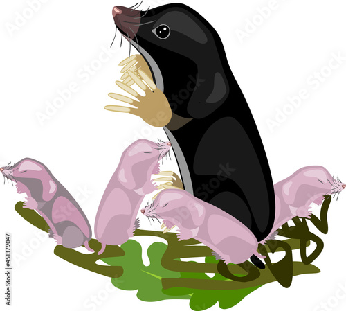 Cartoon black mole with newborn pink babies isolated on white background