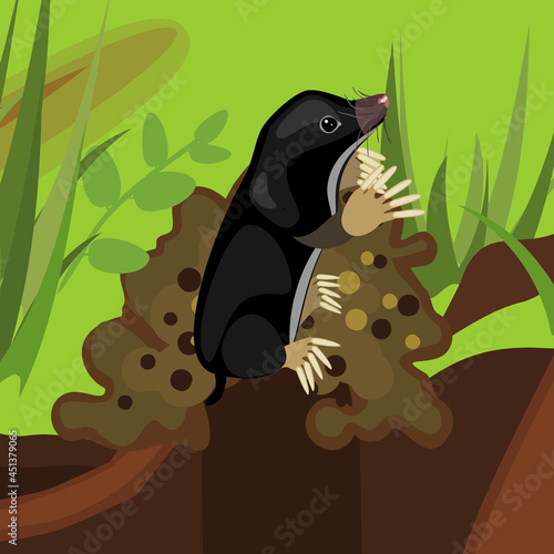 Cartoon black mole on molehill in natural habitat