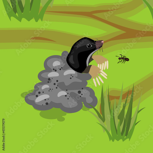 Cartoon black mole on molehill in natural habitat photo