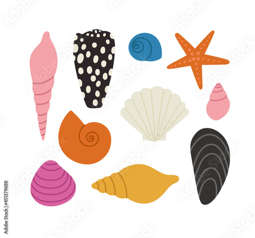 Hand-drawn set of seashells and starfish. Concept of ocean flora and fauna, marine and underwater life, summertime. Colored vector illustration, isolated on white.