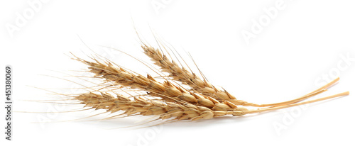 Three dried cereal spikelets isolated on white